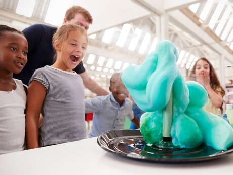 Bulles de Sciences : Les cris des Animaux