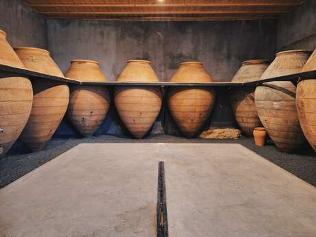 Domaine de la Combe au Mas