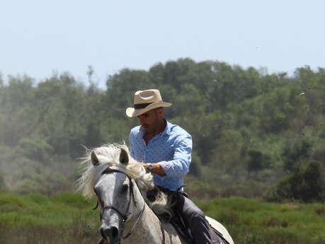 Balade en 4x4 à la manade Jacques Bon
