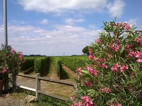 Domaine Des Bonnes Gagnes