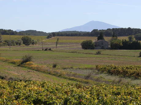 8 - Tour du Massif d'Uchaux à vélo