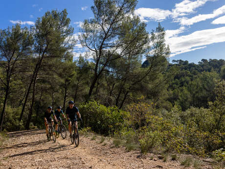 Gravel sous la Sainte-Baume