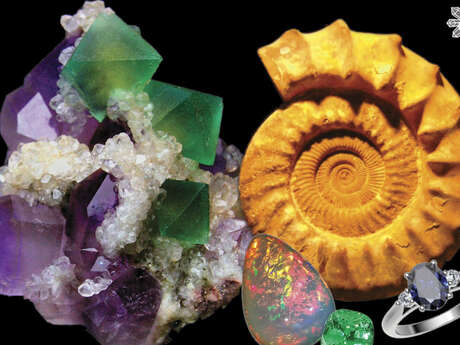 Salon des Minéraux, Fossiles et Bijoux