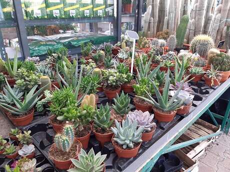 Jardinerie et épicerie Laurent