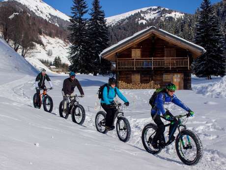 Fat Bike