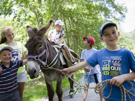 Donkey hire 90 minutes walk