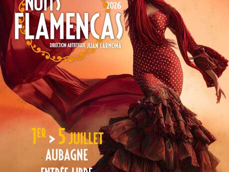 11e Festival les Nuits Flamencas
