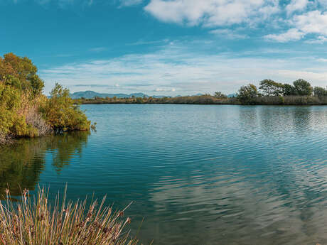 Randonnée : Les Étangs de Villepey