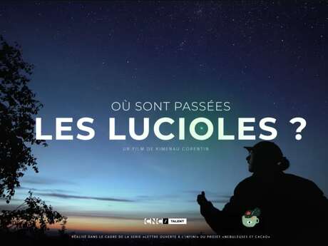 Soirée ciné nature "Où sont passées les lucioles ?"