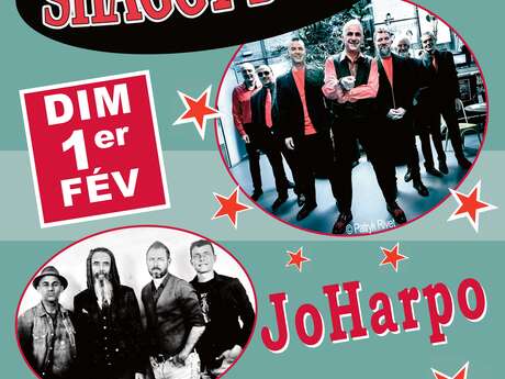 Concerts SHAGGY DOGS et JOHARPO