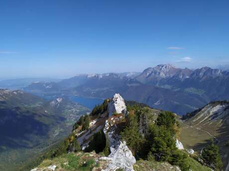 Randonnée accompagnée : Pointe de Banc Plat