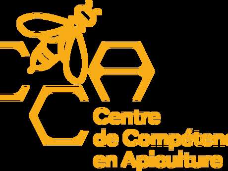 Projection de film "Honeyland" & apéro convival