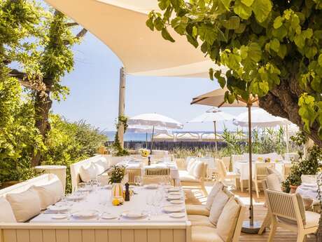 Loulou in Ramatuelle
