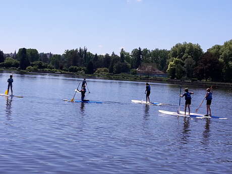 Stand-up Paddle