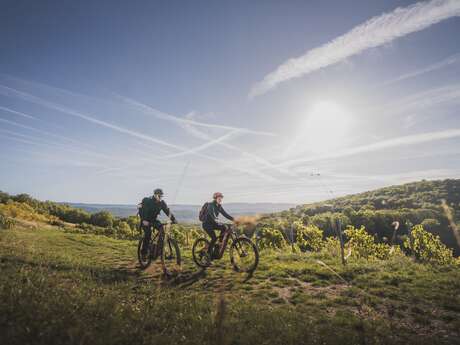 Circuit VTT n°21 (rouge) Vignoble du Revermont - Tour de Gravelles
