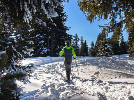 Sortie en raquettes à neige
