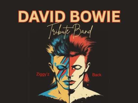 ZIGGY’S BAND – TRIBUTE DAVID BOWIE