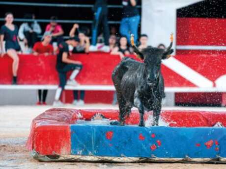 Féria d'Alès - Toro piscine