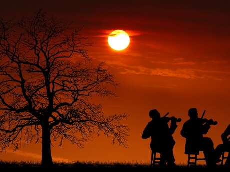 Concert - Voyage sonore au son de la harpe