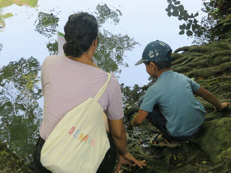 Balade : A la découverte des arbres le long du Thiou