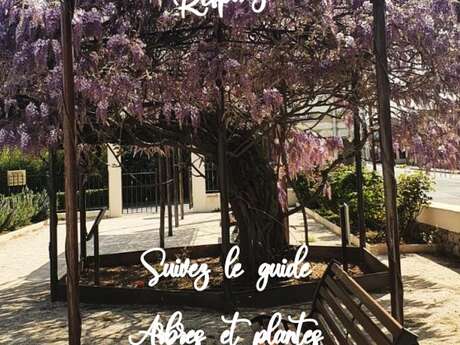 Livrets Jeux - Chasses au trésor en autonomie