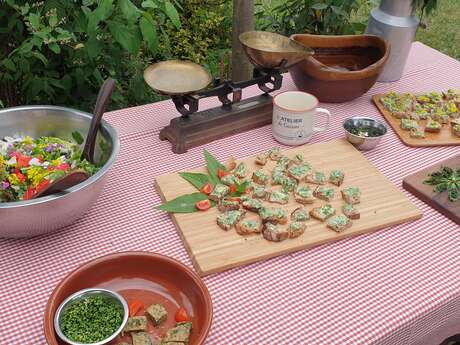 Journée découverte et utilisation des plantes sauvages comestibles et médicinales