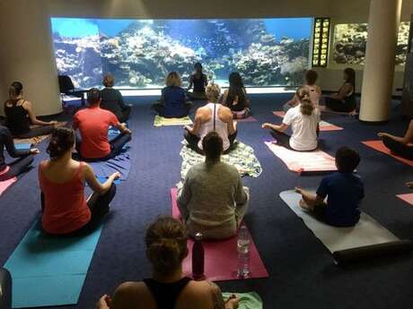 Yoga à l'Aquarium des Lagons 2025