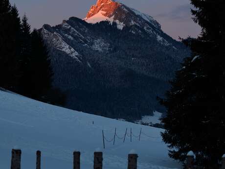 Exposition : Stat Crux Murmures de Chartreuse d'Alain Durand