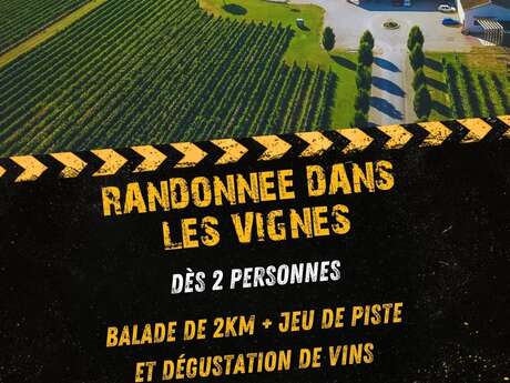 Randonnée dans les vignes