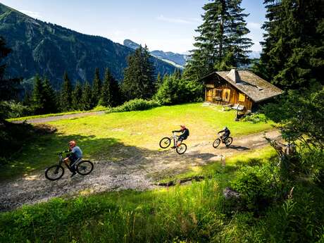 Rouge - Avoriaz - Up Hill Flow - n°21