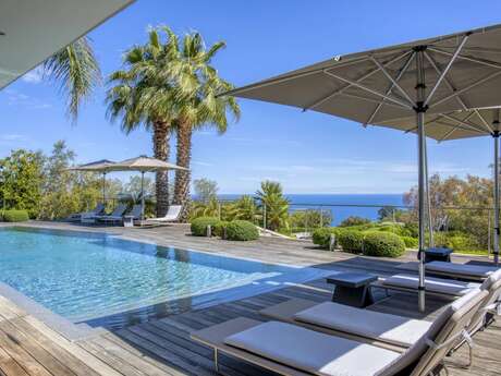 Impact Cannes