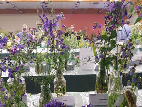 Les Floralies Alpines de Serre Chevalier