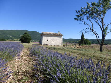 Le Grangeon des Hermas