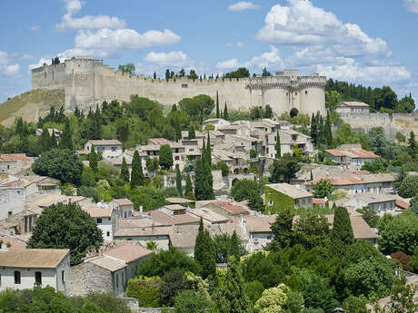 Il était une fois Villeneuve lez Avignon … Les Jardins partagés de la Seigneurette