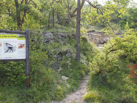 Trail La Mère des Fontaines