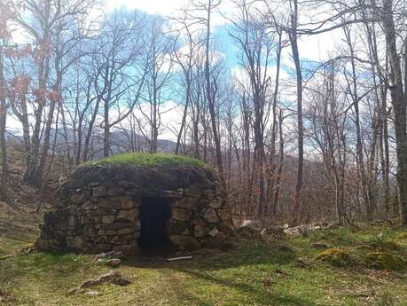 Balade découverte "Sarrat de l'étang"