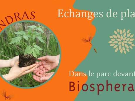 Echanges de plants et semences