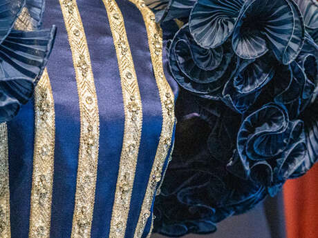 Visites commentées "Infiniment bleu" (vacances d'hiver)