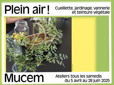 Les plantes médicinales et leurs usages traditionnels : les plantes de printemps Les plantes médicinales et leurs usages traditionnels : les plantes de printemps