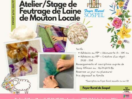 Workshop/Praktikum zum Filzen von lokaler Schafwolle