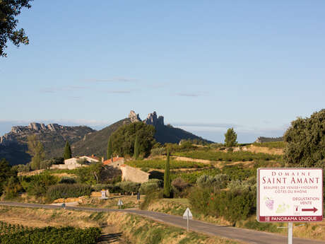 Lud'apéros au Domaine de Saint Amant