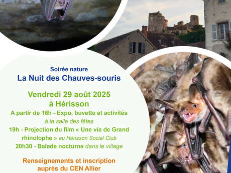 Nuit de la chauve-souris
