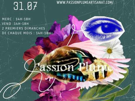 Passion Plume ! - exposition Anne Marder