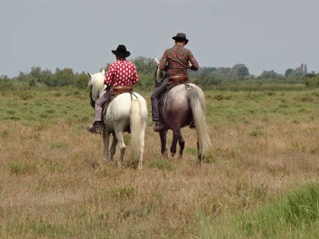 Visite à cheval à la manade Jacques bon