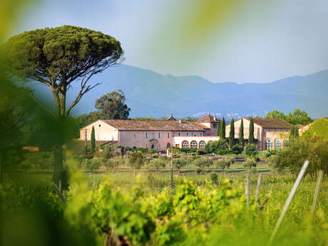 Dégustation de produits à la Truffe BIO'N- Domaine Saint- Julien d'Aille