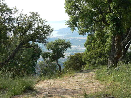 Randonnée - Les Trois Cols