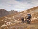 Alligatti biking