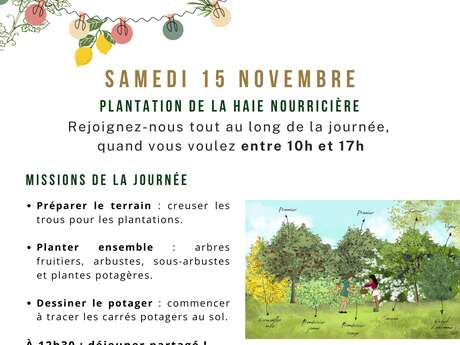 Plantation de la haie nourricière - Transformation du square Sotchi en potager collectif