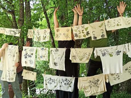 Atelier Nature- Impression Végétale