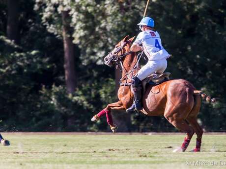 Tournois de polo saison 2026 - Haras de Gassin